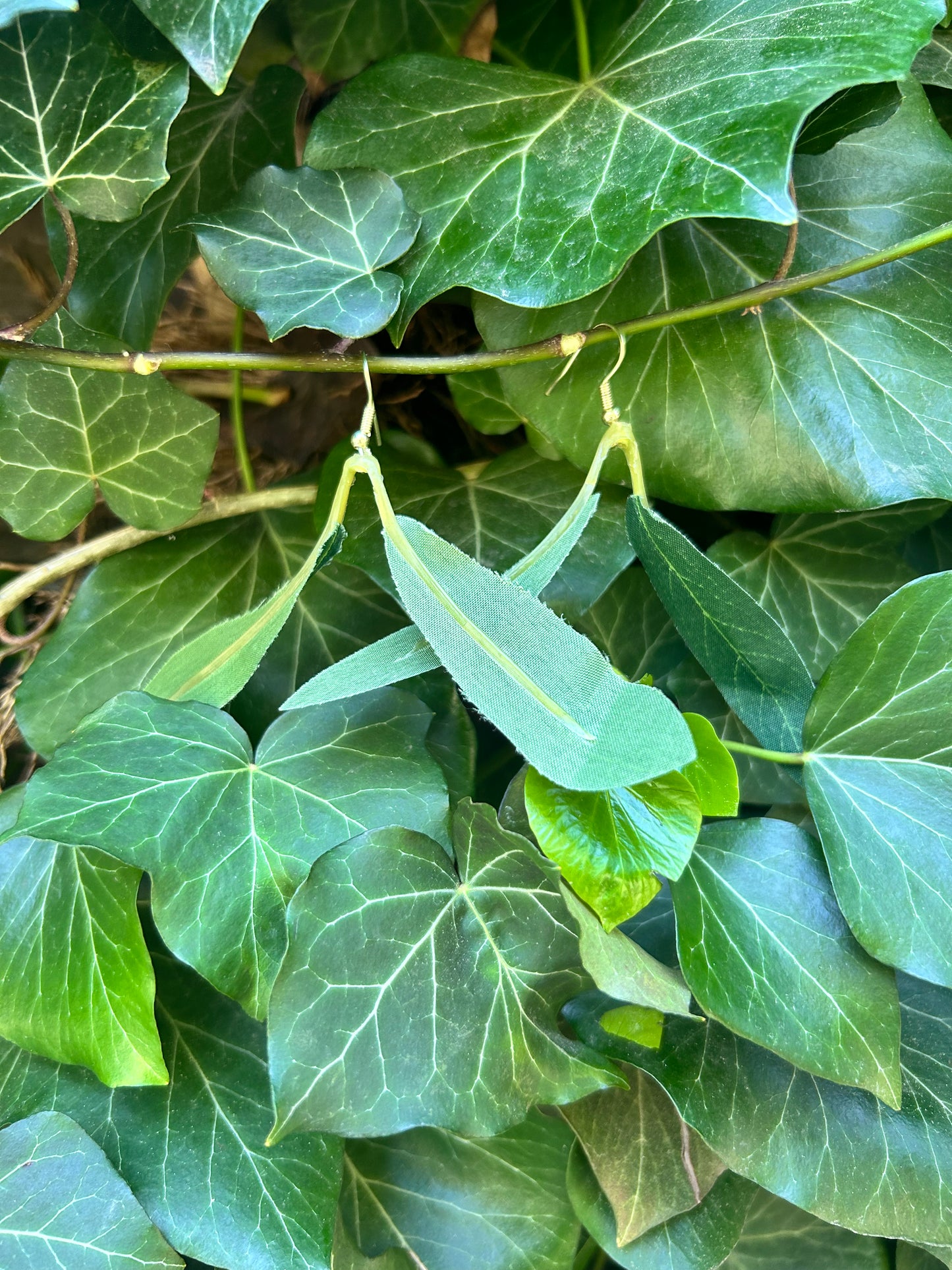 leaf