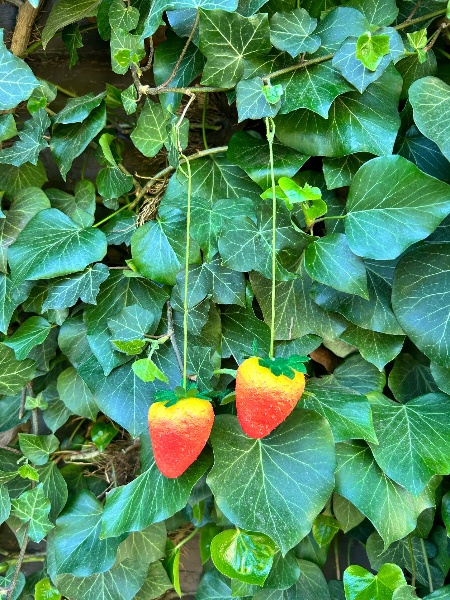 strawberry long stem Ear Art