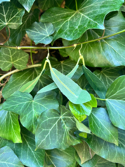 leaf