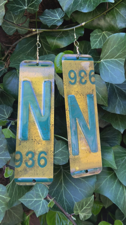 License Plate Ear Art